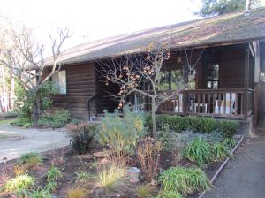 Quintessential Sonoma cottage - my home for 3.5 months!