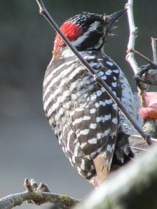 Look at this beautiful creature...