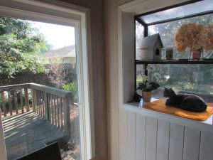 Smokey has a great view of the back and side yards - lots of birds and squirrels to contemplate.