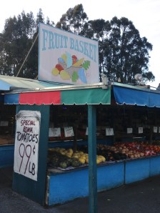 Lemons, apples, avocados...everything costs less here than in town! Yum!