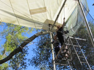 I'm TRYING to smile ... per orders!