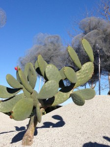 Another view of White Cloud ... one of my favorite installations.