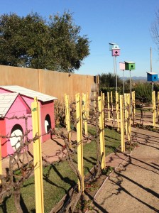 The Children's Garden -- a gathering of special things about Sonoma to entertain children of all ages.