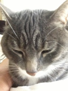 What would I do without her? I don't know how I would have gone through these past few years without her! EVERYONE should have a Smokey in his/her life!