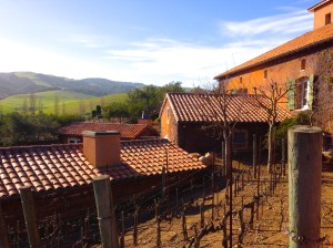 I feel like I'm in Italy! Viansa Winery high on the hilltop ... maybe Tuscany?