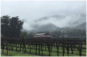 Clouds settling in over Napa ....