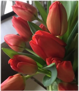 Beautiful, full, robust tulips ... brings joy to the eye and to the heart.